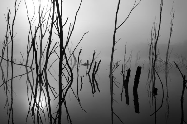 Brume - Œuvre limitée à 10 exemplaires