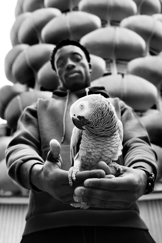 Le troisième œil- Œuvre numérotée et limitée à 10 exemplaires